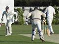 Running between the wickets...jpg